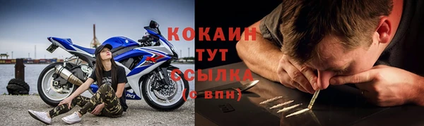 прущие грибы Лабытнанги