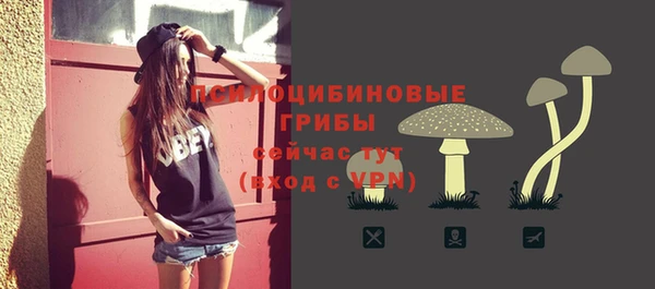 спайс Дмитриев