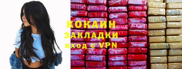 спайс Дмитриев