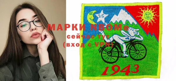 прущие грибы Лабытнанги