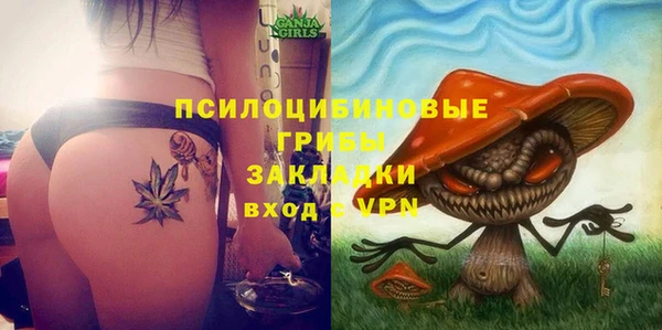 спайс Дмитриев