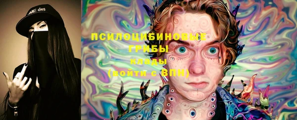 спайс Дмитриев