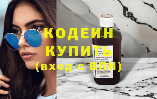 прущие грибы Лабытнанги
