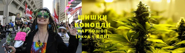 спайс Дмитриев