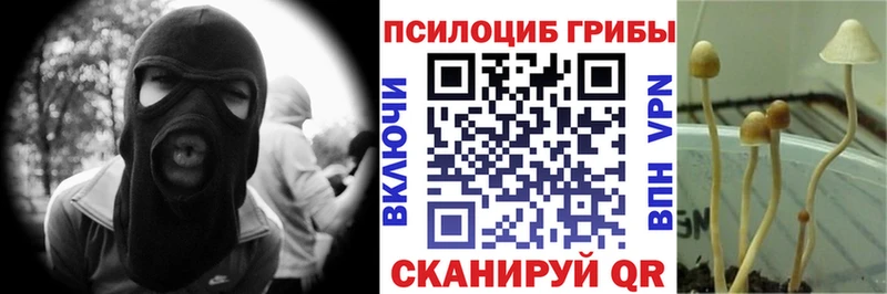 Галлюциногенные грибы мухоморы  Златоуст 